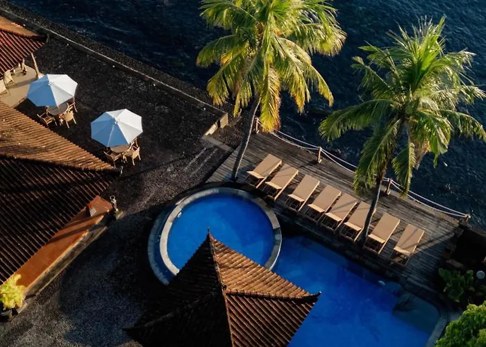 Paradise Palm And Dive Center