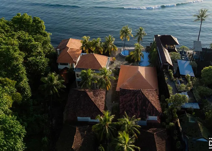 ホリデーパーク Paradise Palm And Dive Center 4*