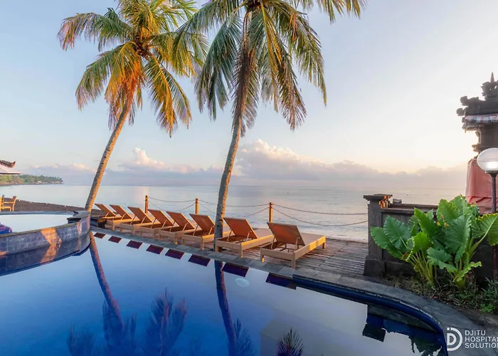 Paradise Palm And Dive Center