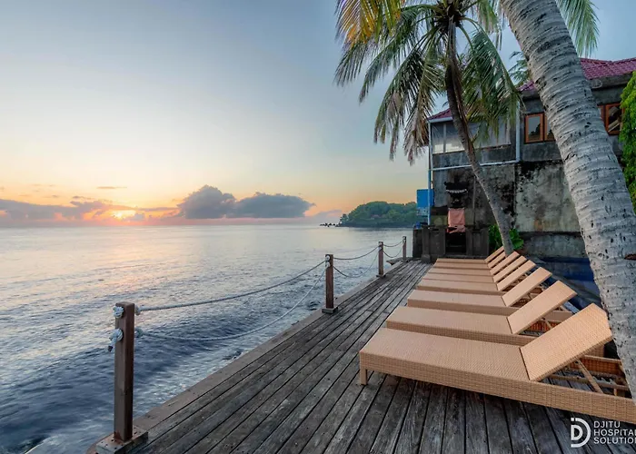 ホリデーパーク Paradise Palm And Dive Center 4*