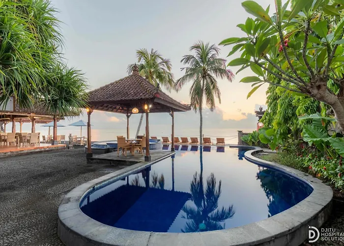 Paradise Palm And Dive Center