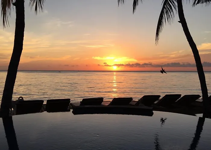 Paradise Palm And Dive Center ホリデーパーク 4*
