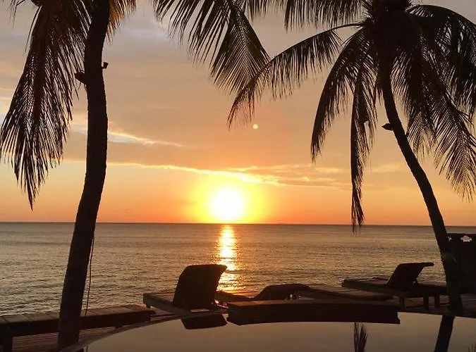 Paradise Palm And Dive Center 4*