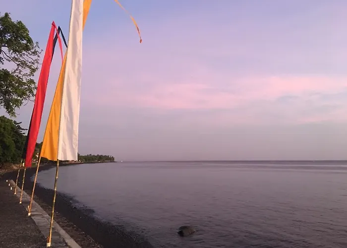 Paradise Palm And Dive Center ホリデーパーク