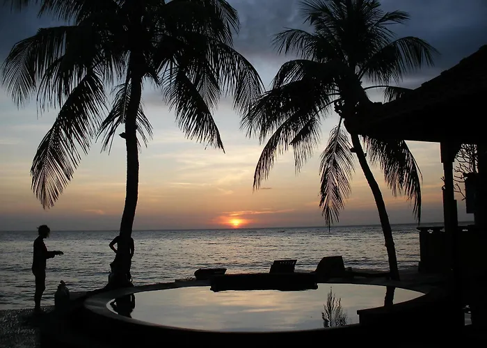 Paradise Palm And Dive Center ホリデーパーク 4*